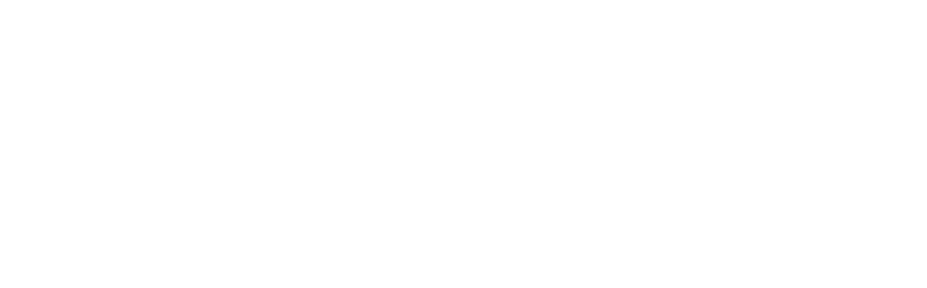 Data Girl Data Girl