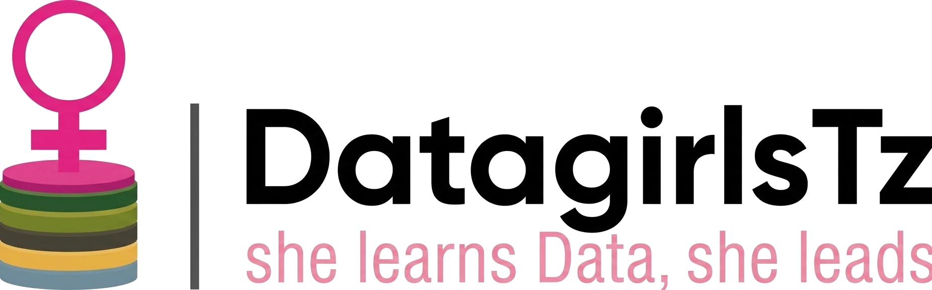 Data Girl Data Girl